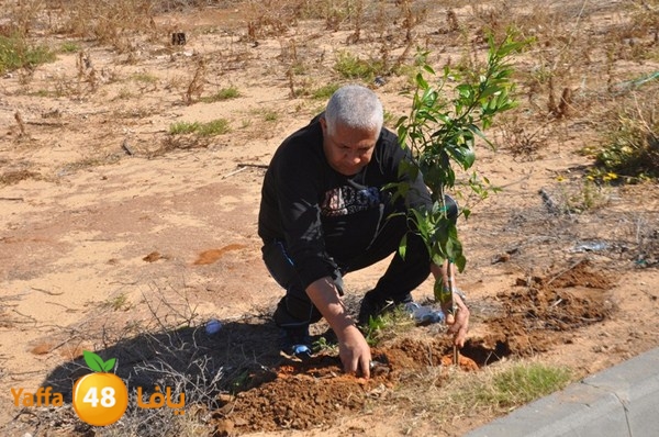 ashjar taso 0328 (11).JPG